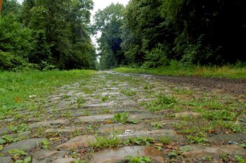 via_francigena.jpg