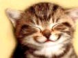 gattocheride.jpg